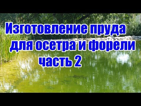 Изготовление пруда для осетра и форели (часть 2)