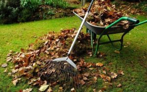 Расчистка приусадебного участка